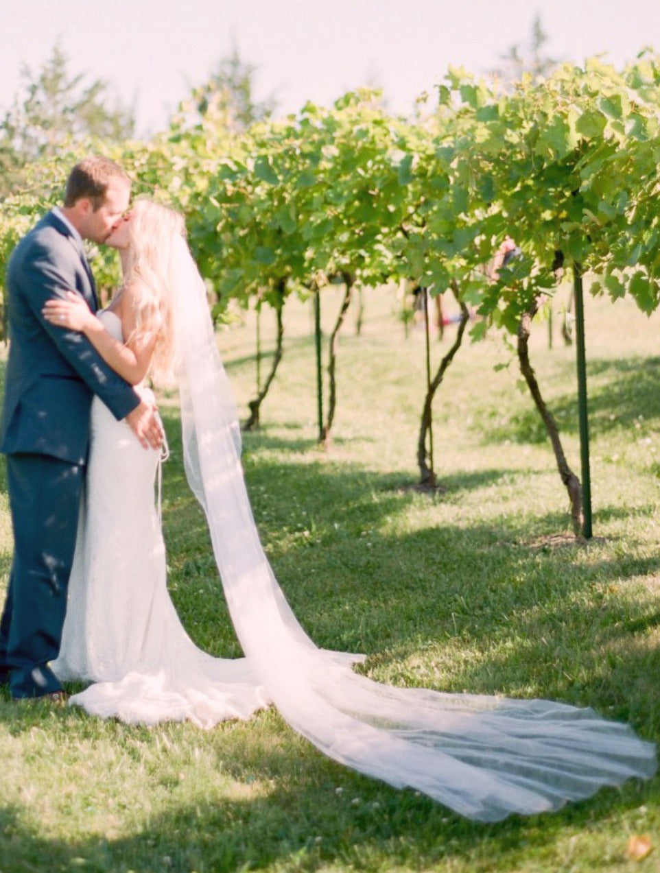 Golden Hour- Angel Dust Tulle